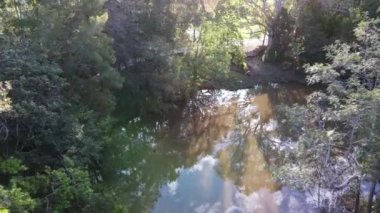 Doğal Hareket Rahatlatıcı Nehir İnsansız Hava Aracı 4K üzerinde yeşil ağaçların arasında tropik park manzarası b roll