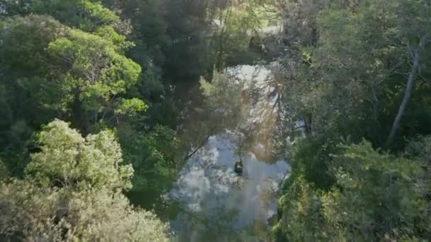 Détente Nature Motion Footage au-dessus de la rivière drone 4K parmi les arbres verts paysage tropical outback parc calme paysage b rouleau