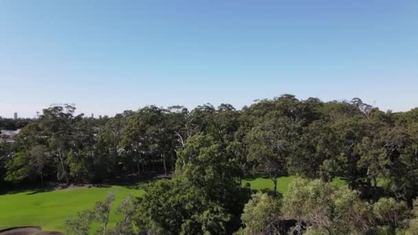 ゴルフ場｜4K Drone Outlookの景観自然ビデオ高精細金コースレクリエーションスポーツの景観自然展望 — ストック動画