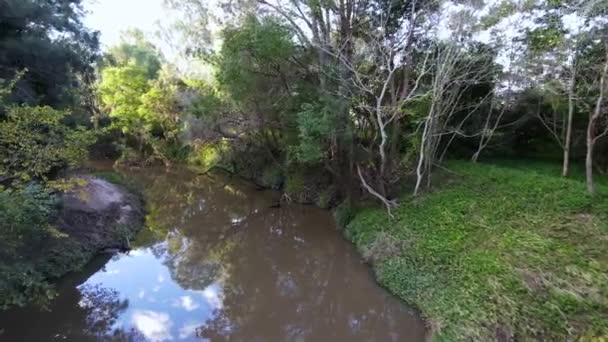 緑の木々の間で川のドローン4Kの上の自然の動きの映像熱帯のアウトバック静かな公園の風景bロール — ストック動画