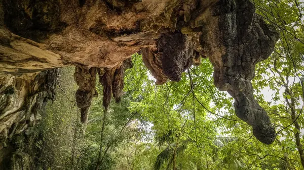 Grotte Khao Kha Nab Nam Ecotourisme Vie Communautaire Province Klongprasong — Photo