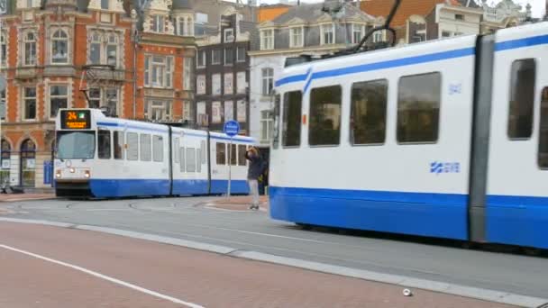 Amsterdam Pays Bas Janvier 2017 Tramways Dans Rue Amsterdam Pays — Video