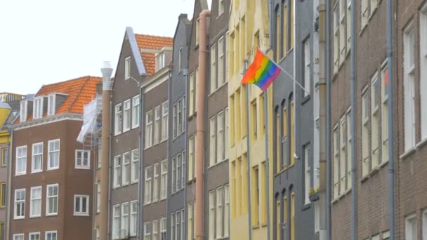 Άμστερνταμ Ολλανδία Ιανουάριος 2017 Ουράνιο Τόξο Σημαία Στο Άμστερνταμ Ολλανδία — Αρχείο Βίντεο