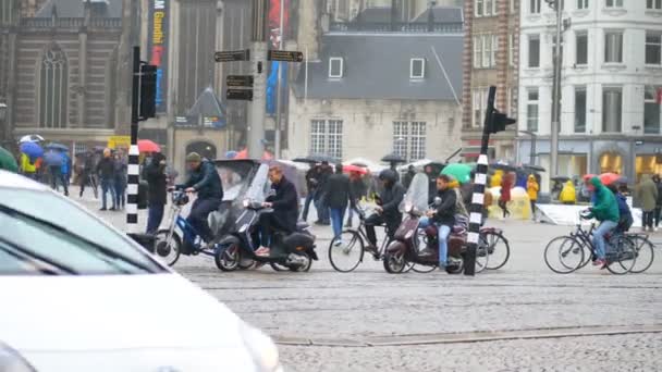 Amsterdam Paesi Bassi Gennaio 2017 Persone Che Attraversano Strada Amsterdam — Video Stock