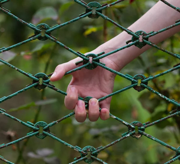 Hand Hinter Dem Gitter — Stockfoto