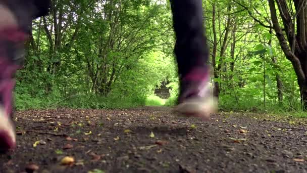 Corre Chica Corre Por Sendero Forestal — Vídeo de stock