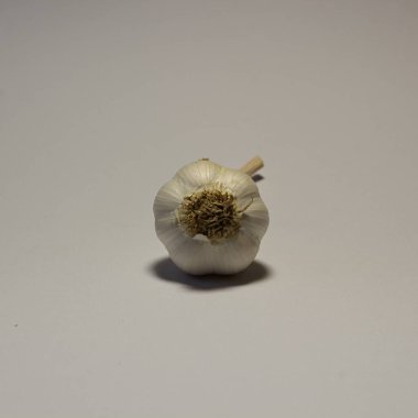 Sarımsak beyaz bir arka planda kapanıyor..