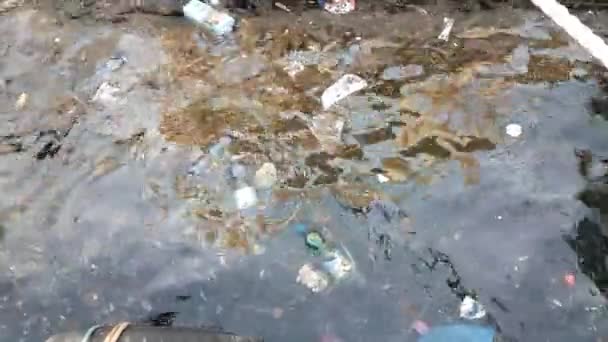 Acqua Mare Inquinata Molta Sporcizia Bottiglie Plastica Galleggianti Sacchetti Plastica — Video Stock