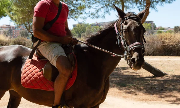 Homem Montando Cavalo Natureza Dia Verão — Fotografia de Stock