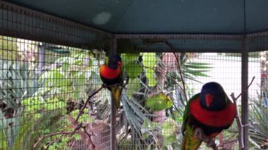 Sardinya - Arbatax: Uçurumun üzerinde gün batımı - Bulutlu gökyüzü