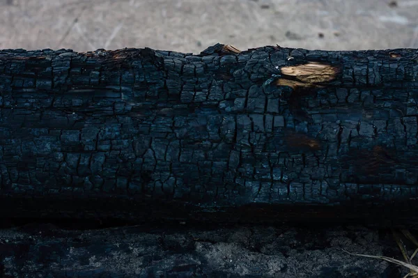 Hakiki yanmış ahşap dokusu - kömür dokusu