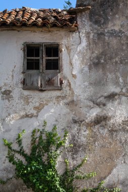 Aşınmış ahşap pencere çerçevesi / kepenkleri ve yeşil yaprakları olan İspanyol kır evinin yıpranmış duvarı. Eskimiş arka plan İspanyolca.