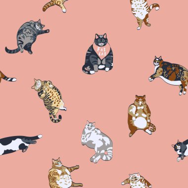 Komik şişman kediler vektör illüstrasyonu, desen