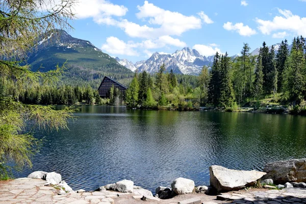 Große Schneebedeckte Berge Und Dunkelgrüne Wälder Strbske Pleso See Hohe — Stockfoto