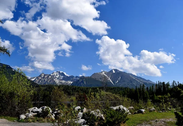 Snowy black mountains in white fluffy clouds and thick forests, High Tatras