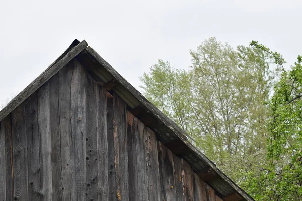 The roof of an old barn in the village against the background of green trees