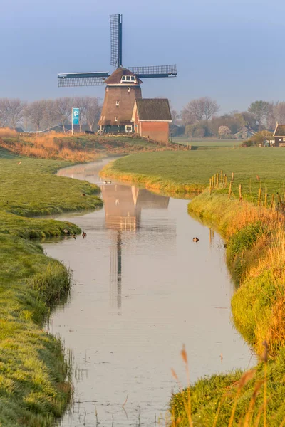 Moulin Vent Reflété Dans Canal Encadré Par Herbe Ciel Rose — Photo