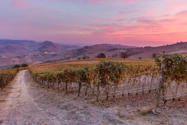 Barolo Hills Sunset Europe Piedmont Cuneo District Langhe Barolo — Stock Photo, Image
