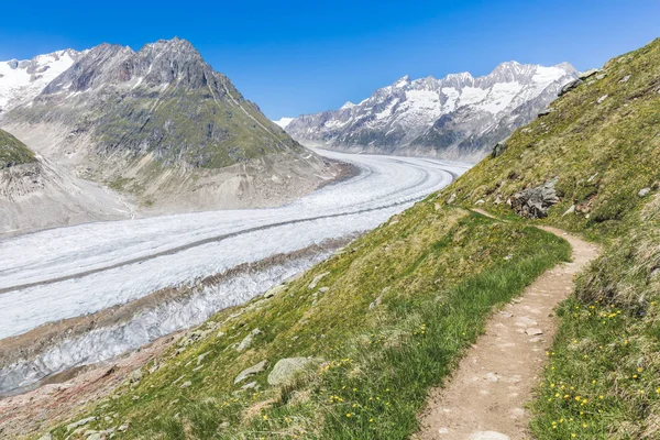 Aletsch Gletser Swiss — Stok Foto