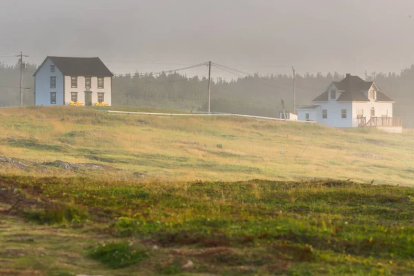 세인트 메리의 생태적 보호구역 뉴펀들랜드에 — 스톡 사진