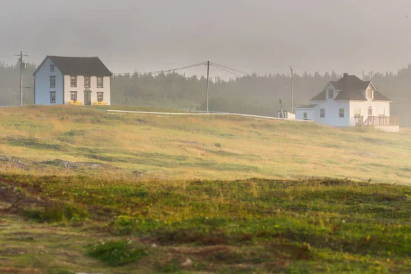 Klippor Cape Mary Ecological Bird Sanctuary Newfoundland — Stockfoto