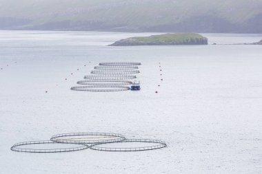 Vagar Adası 'ndaki Sandavagur köyü yakınlarındaki balık çiftliğinin manzarası. Faroe Adaları, Danimarka
