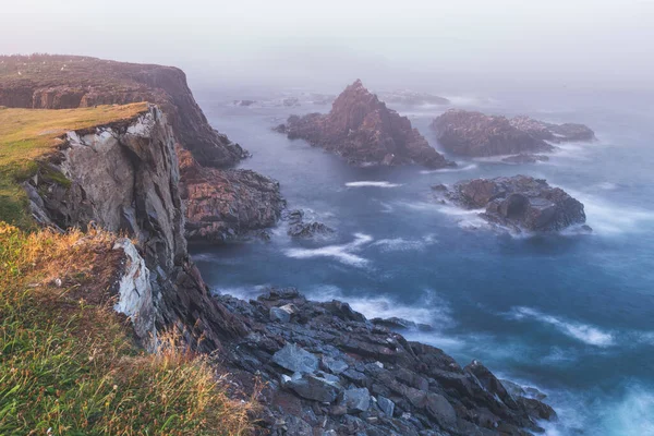 Cape Mary Nin Newfoundland Daki Ekolojik Kuş Sığınağı Uçurumları — Stok fotoğraf