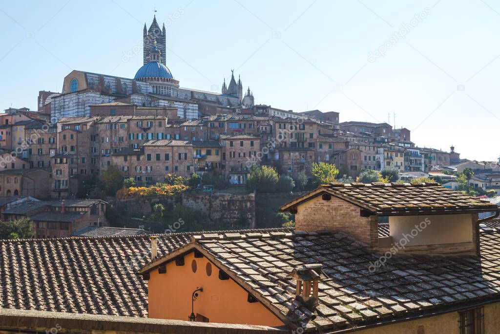 Siena Italy, view of the Duomo and surrounding buildings on the skyline of the city of Siena in Tuscany, Italy.