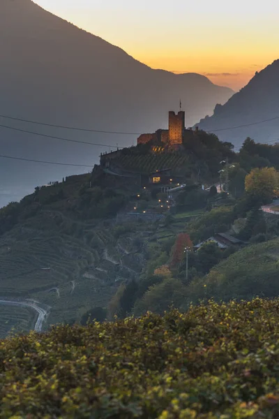 Weingut und Weinberge, Bergtal. Valtellina. Italienische Alpen — Stockfoto