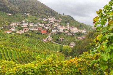 Valdobbiadene İtalya 'daki Prosecco Şaraphanesi DOCG Unesco Bölgesi