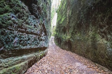 Toskana 'daki Vie Cave adlı etrusya medeniyeti tarafından İtalya' nın orta kesiminde Pitigliano ve Sorano arasında kayanın içinde kazılmış dar bir yol.