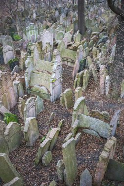 Prag Çek Cumhuriyeti 'ndeki eski Yahudi Mezarlığı. Önemli bir Yahudi anıtı ve türünün en büyük mezarlarından biri.