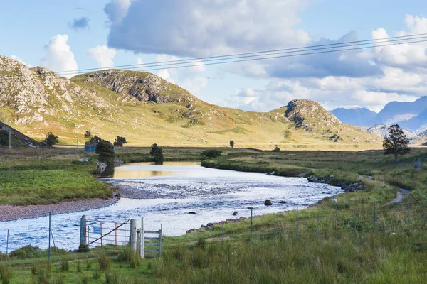 Träd Loch Assynt Skottland Högkvalitativt Foto — Stockfoto