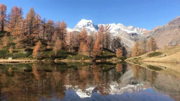 Alp İtalya. Dağ Gölü, Karaçam, Dağlar ve Bulutlarla Manzara — Stok video