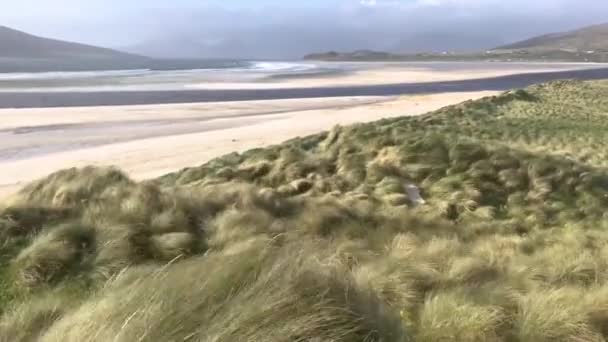 Playa en Luskentyre con hierbas de dunas soplando en primer plano, Isla de Harris, Hébridas Exteriores, Escocia — Vídeo de stock