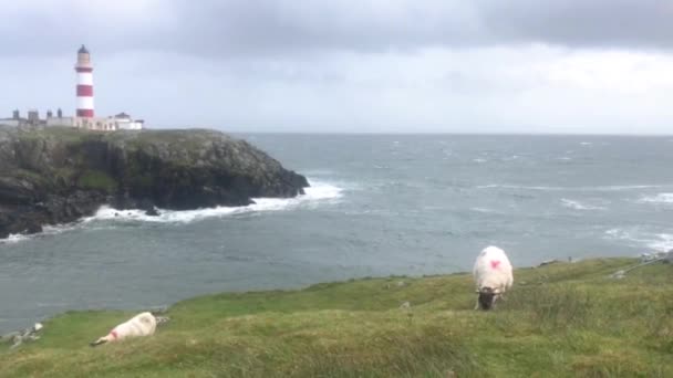 Eilean Glas vuurtoren op het eiland Scalpay in de Buiten-Hebriden van Schotland — Stockvideo