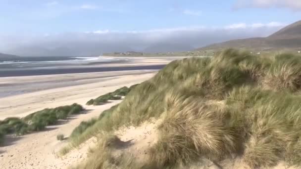 Spiaggia di Luskentyre con erba di dune che soffia in primo piano, Isola di Harris, Ebridi Esterne, Scozia — Video Stock