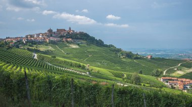 İtalya 'nın Piemonte kentindeki ortaçağ kasabası La Morra' nın Nebbiolo üzüm bağlarına bakın. Yüksek kalite fotoğraf
