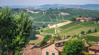 Neive, Piedmont, İtalya 'dan Batı Langhe' ye bakın. Yüksek kalite fotoğraf