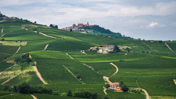 Uitzicht Nebbiolo Wijngaarden Naar Middeleeuwse Stad Morra Piemonte Italië Hoge — Stockfoto