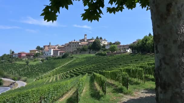 Neive Kasabası. Langhe Bölgesi, Piedmont, İtalya — Stok video