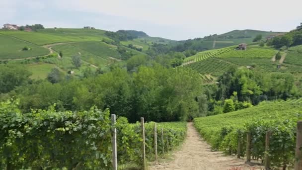 Pan Άποψη των αμπελώνων γύρω από Barolo, Langhe, το περίφημο ιταλικό κρασί — Αρχείο Βίντεο
