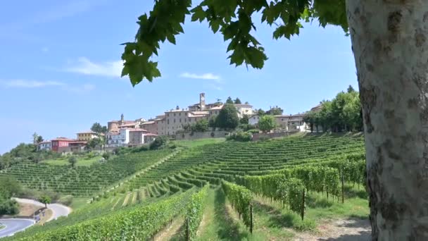 Zoom en la toma de Neive Town. Región de Langhe, Piamonte, Italia — Vídeo de stock