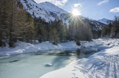 Roseg nehri ve bir tarla ormanı, Roseg vadisi, Pontresina, Grisonlar kantonu, Engadin, İsviçre