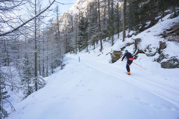 Schi cross-country pe valea Roseg, valea Upper-Engadine, Grisons, Graubunden, Elveția — Fotografie, imagine de stoc