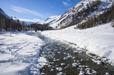 Roseg nehri ve bir tarla ormanı, Roseg vadisi, Pontresina, Grisonlar kantonu, Engadin, İsviçre