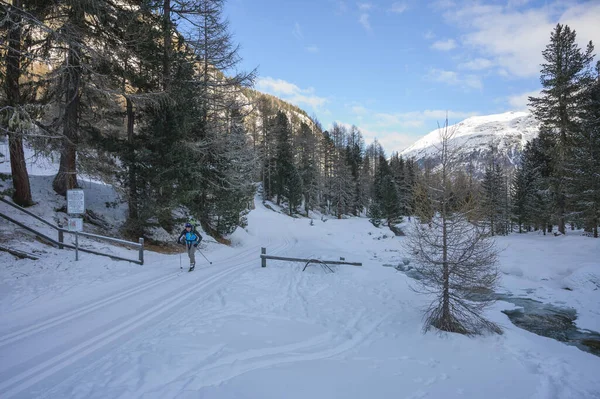 Ski de fond dans la vallée de Roseg, Haute-Engadine, Grisons, Graubunden, Suisse — Photo