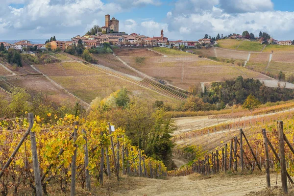 Weinberge in der Nähe von Alba, Langhe, Piemont, Italien — Stockfoto