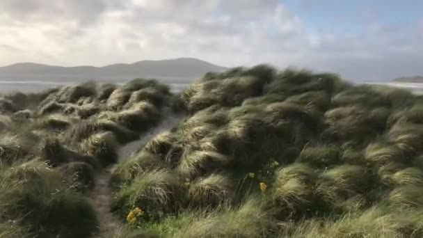 Strand vid Luskentyre med sandgräs som blåser i förgrunden, Isle of Harris, Outer Hebrides, Skottland — Stockvideo