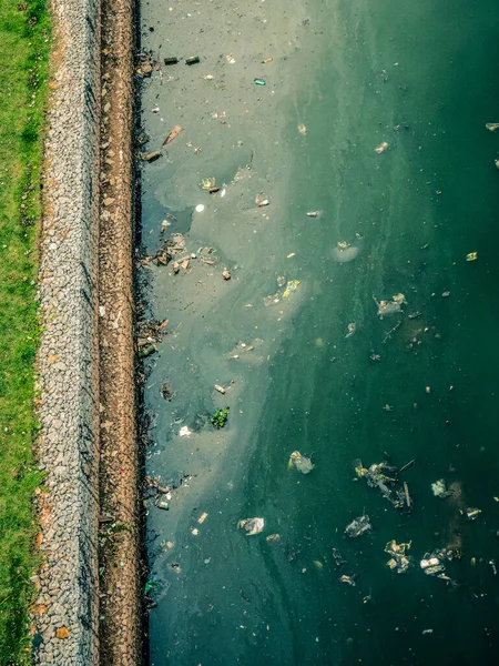 Brzeg Rzeki Piinheiros Zanieczyszczenie — Zdjęcie stockowe